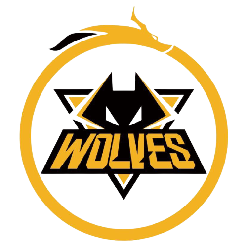 林得分超过 林得分超过