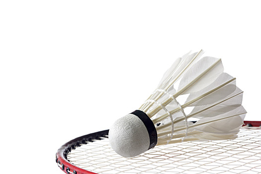 回购窗口 回购窗口