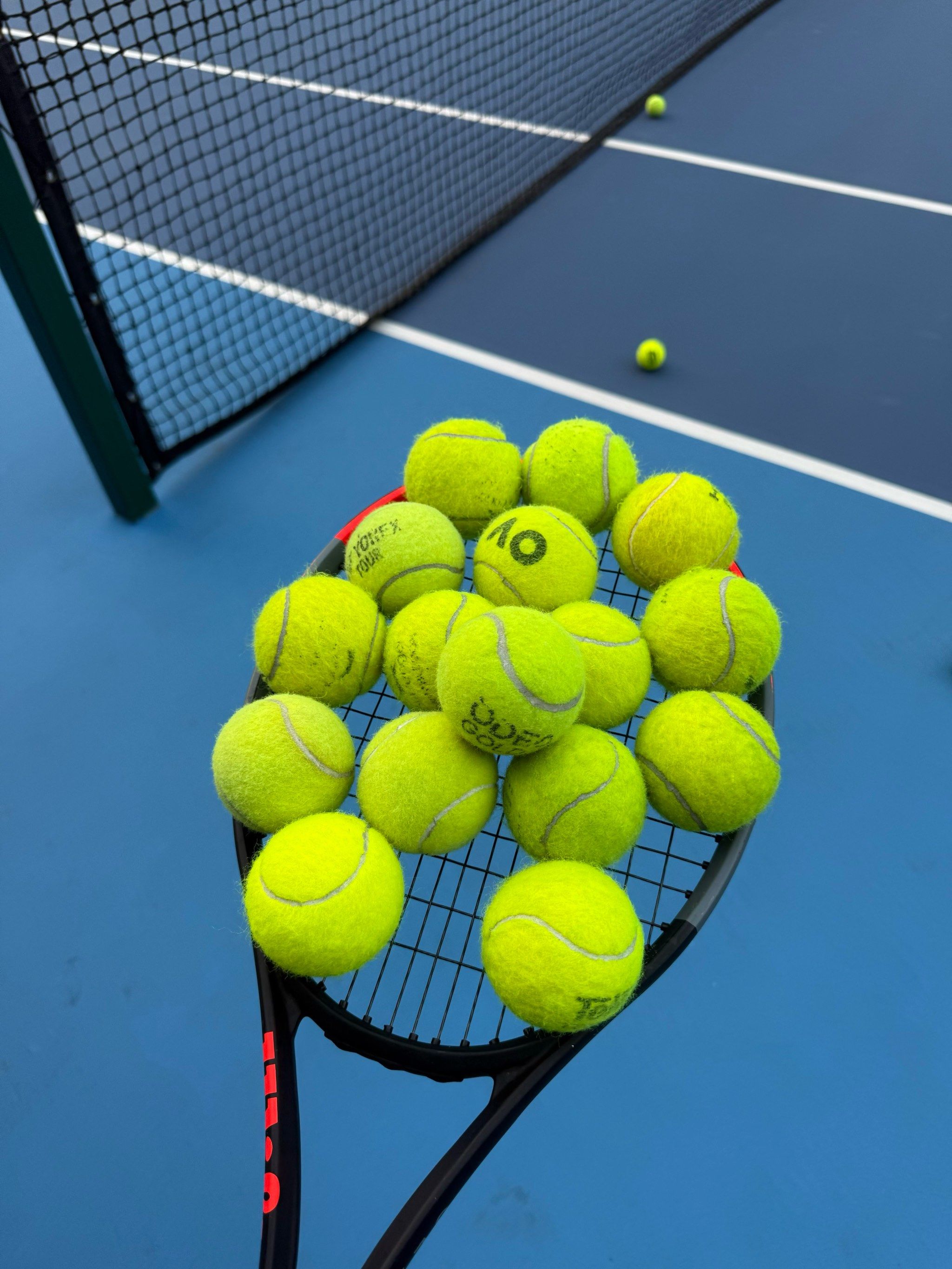 他们不仅在 他们不仅在