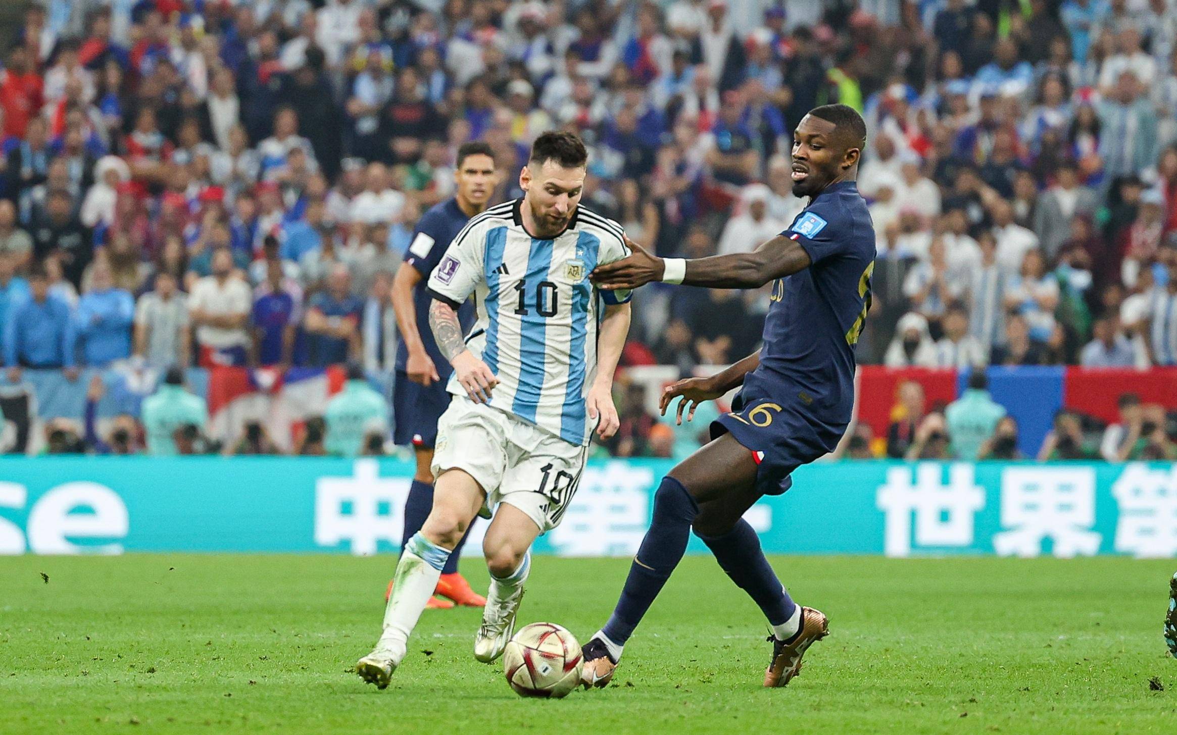 讨论伶盗龙 讨论伶盗龙